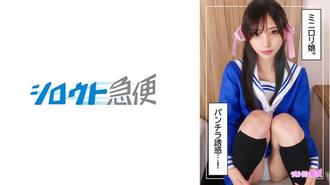 SQB-229 琴音